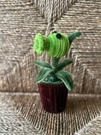 Image 1 of Pea Shooter in pot ~~ Plants vs Zombie