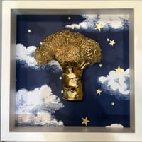 Stary Stary Night Broccoli