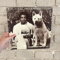 Jorge Ben – Bem-Vinda Amizade - Brazilian First Press LP!
