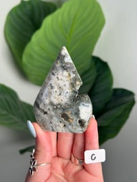 Image 3 of CHOOSE YOUR OWN SEA JASPER FLAME -MADAGASCAR-