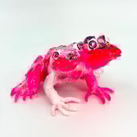 Image 3 of Dragon Fruit Siamese Frog 2025