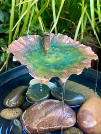 Image 1 of Leaf