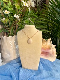 Image 4 of Sharktooth in a Shell Necklace ST116