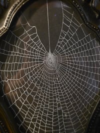 Image 4 of Ornate black wall hanging candle holder - preserved web B