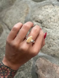 Image 1 of Triangle walrus ivory