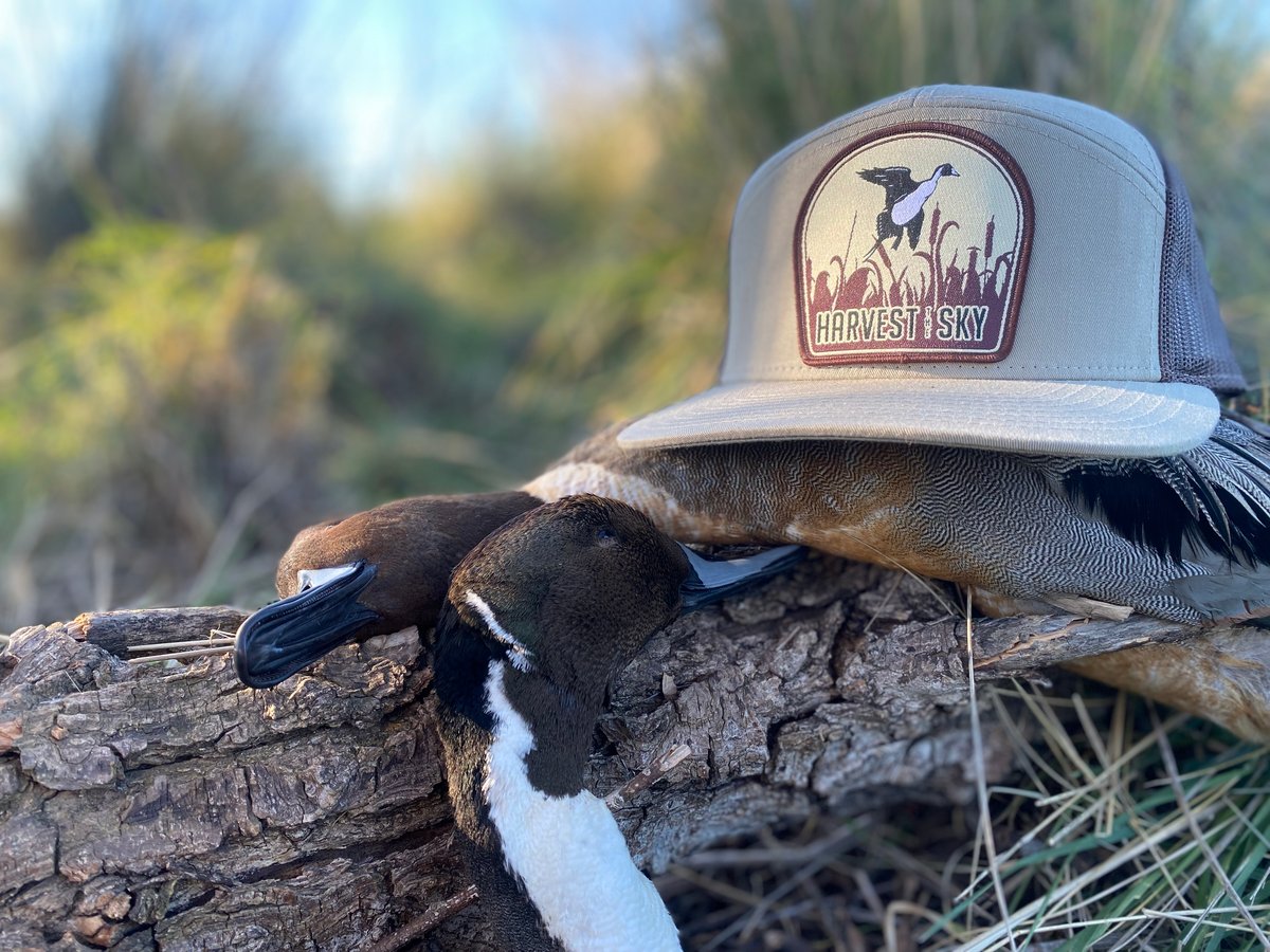 White Persistent Pintail Logo 7 Panel Hat