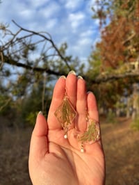 Image 8 of Holiday Pines