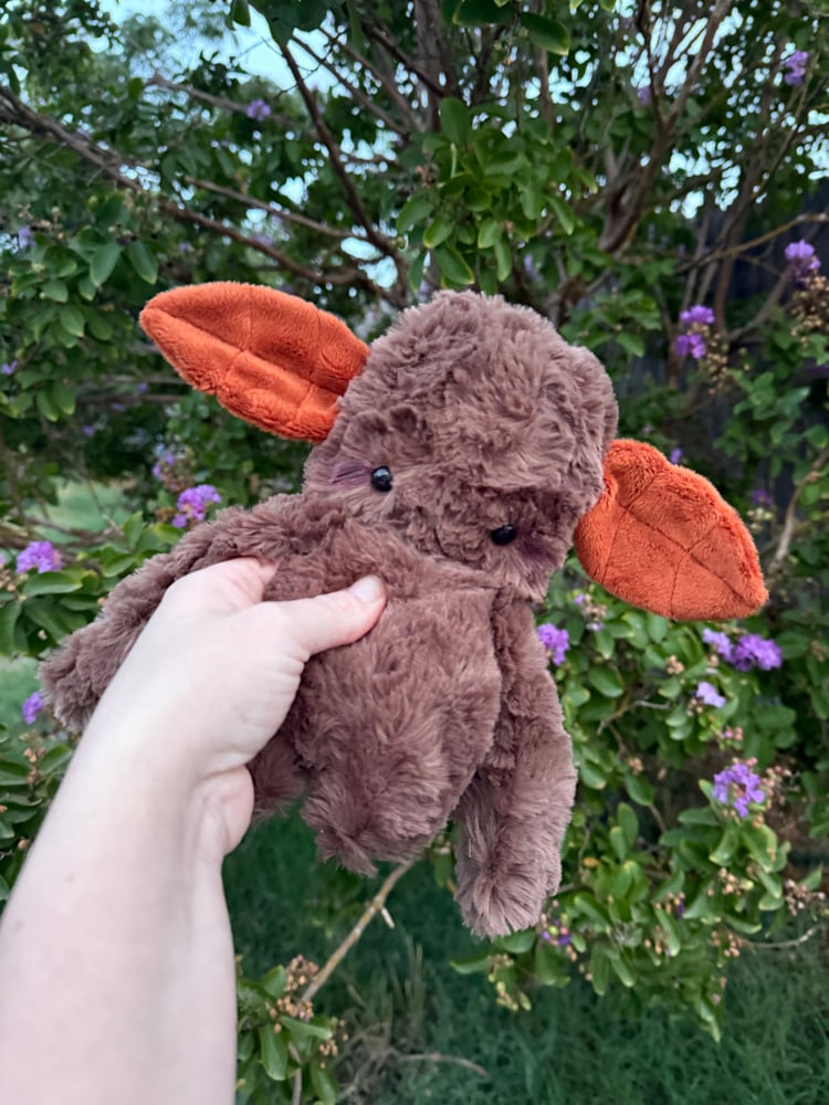 Image of Fall dweller