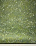 Bosque - Permanent Collection