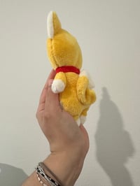 Image 3 of Shiba Baby