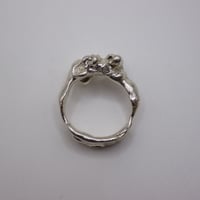 Image 3 of dianthus ring 