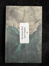 Image 2 of Buckeye Burl Hybrid Knife Scales