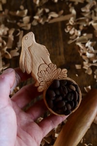 Image 6 of The Star Gazing Hare Scoop 