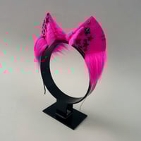 Image 2 of Magenta Stars Kitten
