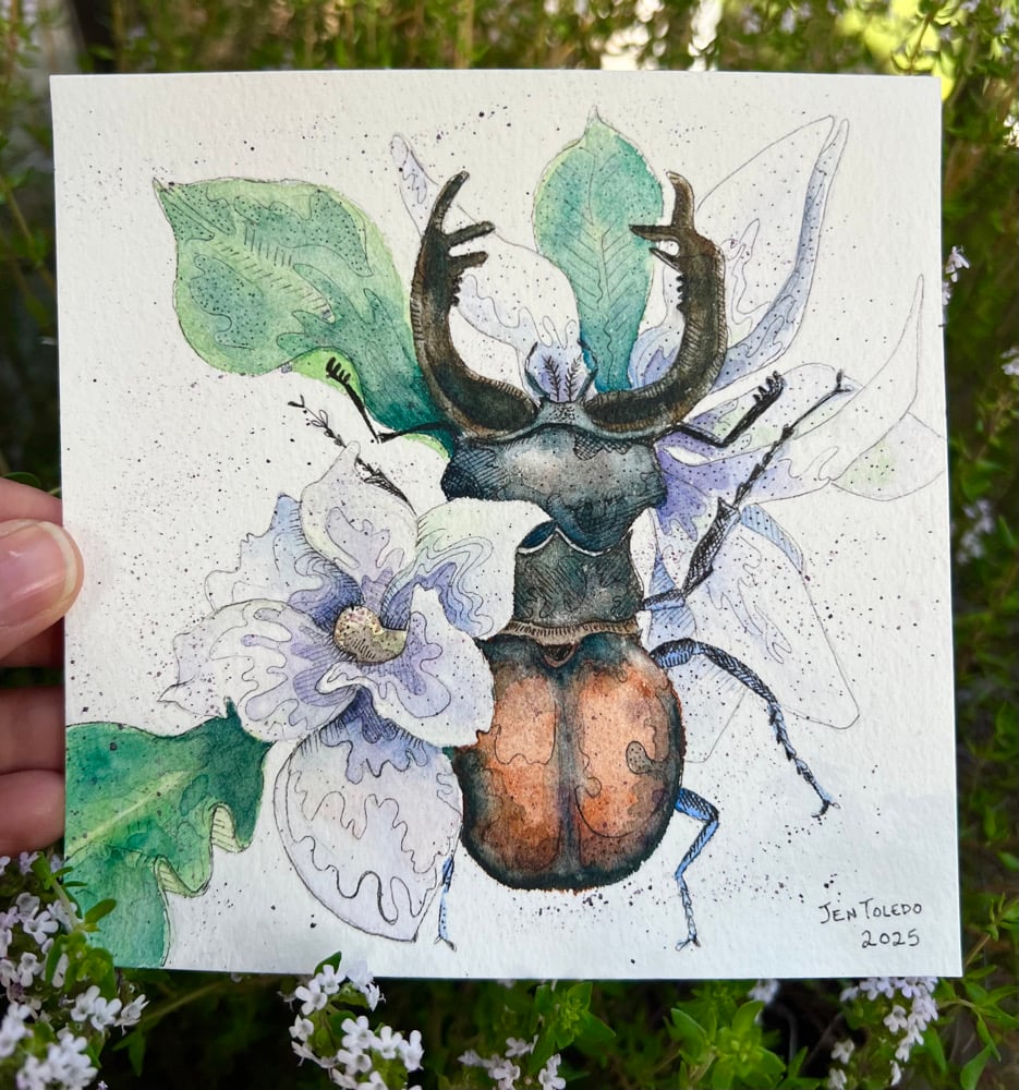 Image of Giant Stag Beetle + Magnolia Blooms
