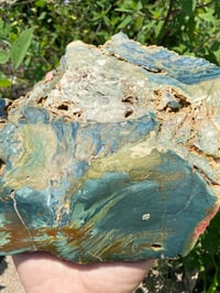 Image 2 of Larsonite Bogwood Slab