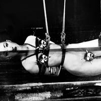 Image 8 of Nobuyoshi Araki: The Iota of Life and Death by Shunji Ito