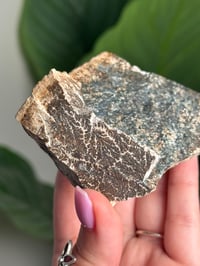 Image 2 of DENDRITIC FELDSPAR -ITALY- C