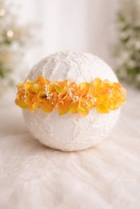 Image 2 of mini halo Soleil 