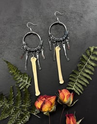 Coyote Bone & Fringe Earrings 
