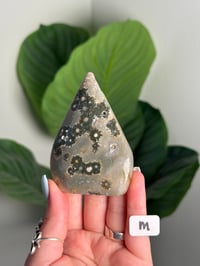 Image 13 of CHOOSE YOUR OWN SEA JASPER FLAME -MADAGASCAR-