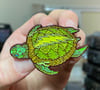 The Stellar Sea Turtle pin set!
