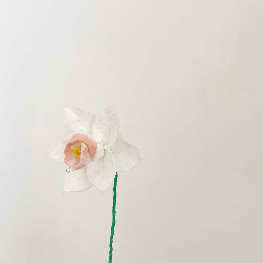 Image of cocon mini mini flowers 