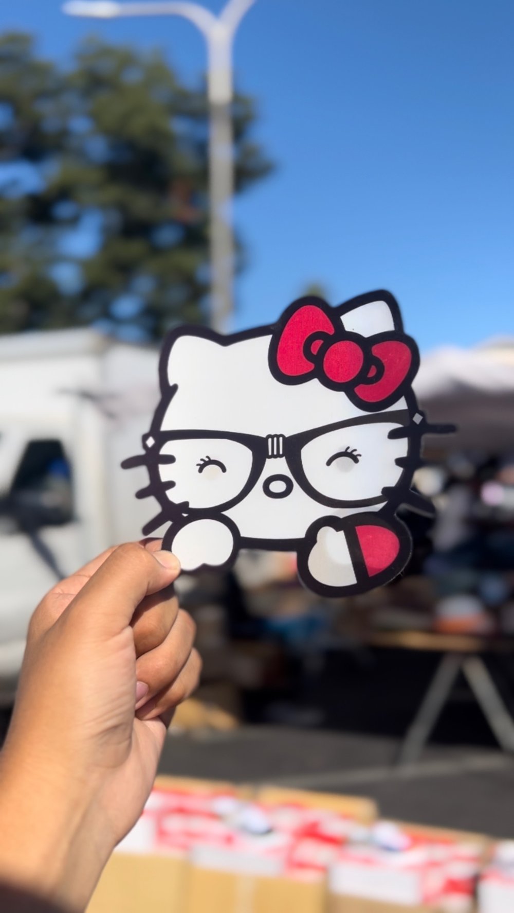 Hello kitty & friends