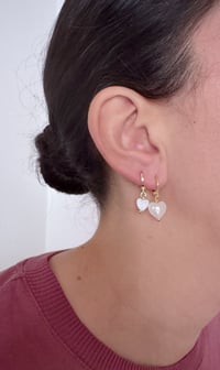 Image 2 of Créole Energie LA FOLIE