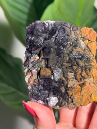 Image 5 of NATURAL RAINBOW IRIDESCENT CUBIC FLUORITE -CHINA- D