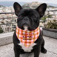 Image 4 of ΦΟΥΛΑΡΙ ΣΚΥΛΟΥ ΧΑΙΔΕΨΕ ΜΕ