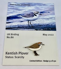 Image 1 of Kentish Plover - No.86 - UK Birding Pins - Enamel Pin Badge