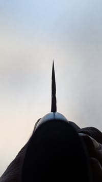 Image 5 of Forged Gyuto 230mm | Apex Ultra | Planetree