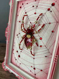 Image 3 of Red Heart Spider