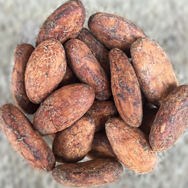 Image of Cacao Beans - 10 lbs.