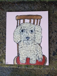 Image 9 of Crusty Dog