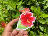 Image 2 of Flor de Maga 🌺 Sticker