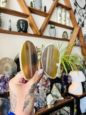 Image of Natural agate contrasted butterfly