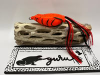 Red Tiger Glide Frog