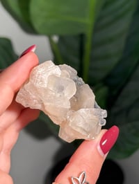 Image 2 of BOWTIE STILBITE X DIAMOND APOPHYLITE -INDIA- L