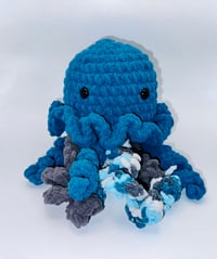 Bubbles the Jellyfish