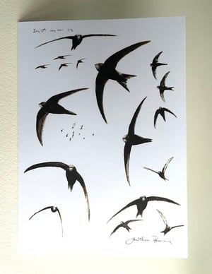 Image of Swift cards- pack of 4