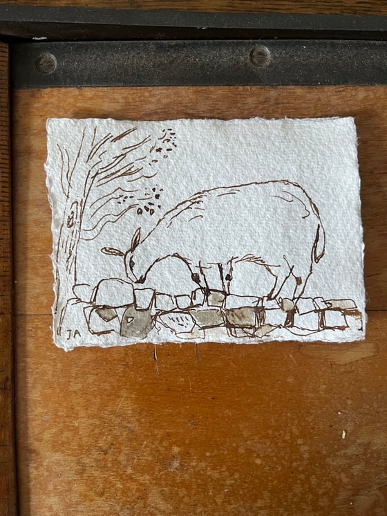 Image of Sheep on a wall.