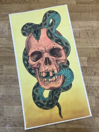 Skull and Snake 5