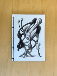 Image 1 of Spasmata Notebook IV & White Ink Pen