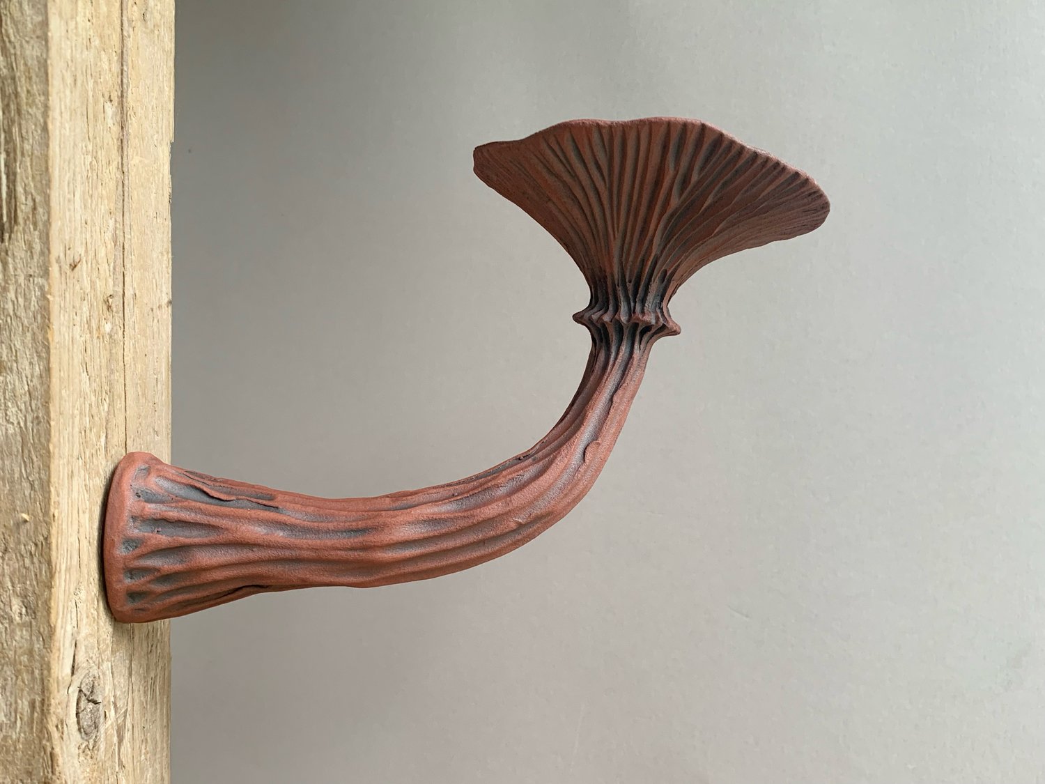 Image of Green Wall Mushroom 