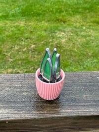 Image 2 of Mini spike plant