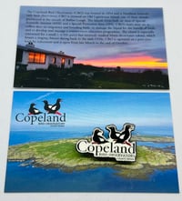 Image 1 of Copeland Bird Observatory Pin Badge