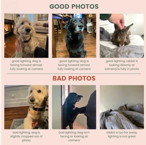 Image of Custom FULL COLOR Pet Potrait Crewneck