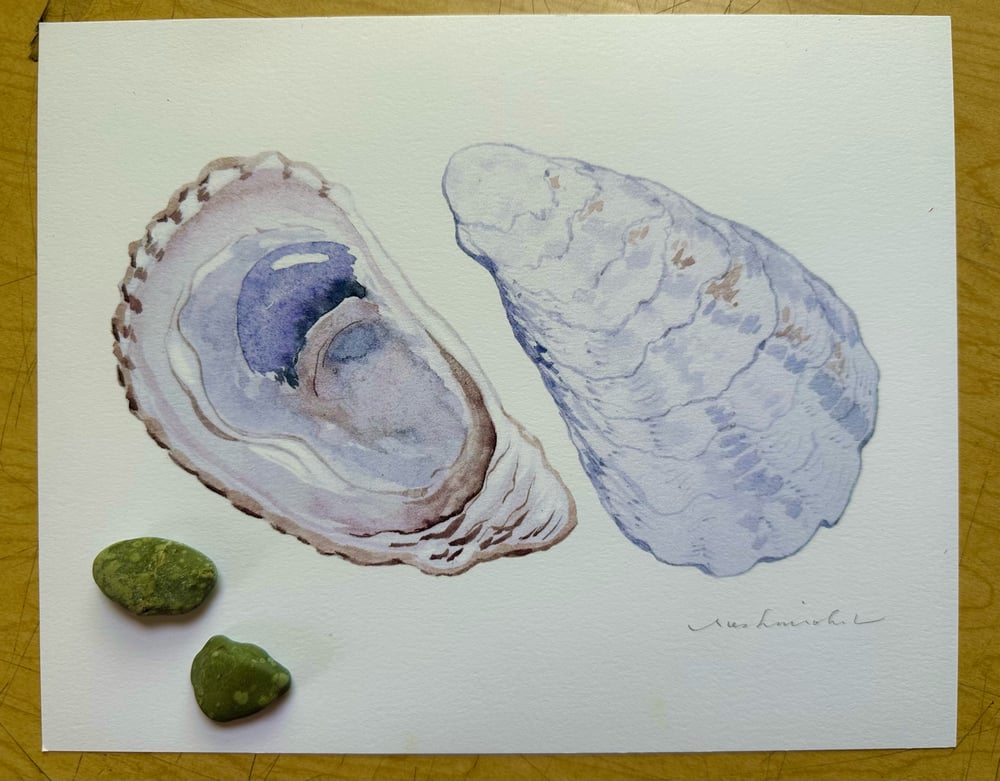 Image of Oyster Print